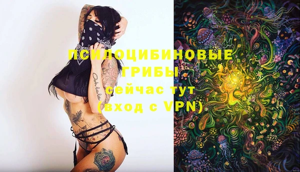 винт Магас