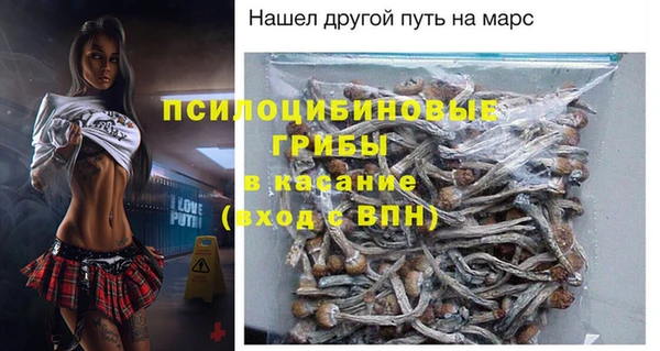 винт Магас