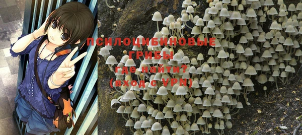 винт Магас